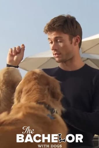 The Bachelor with Dogs and Scott Eastwood (2015) poster