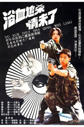 The Detective and The Desperado (1995) poster