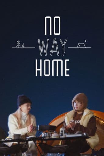 No Way Home (2024) poster