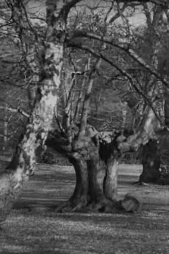 Burnham Beeches (1909) poster