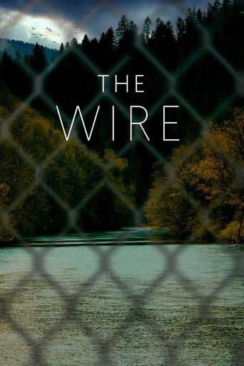 The Wire (2021) poster