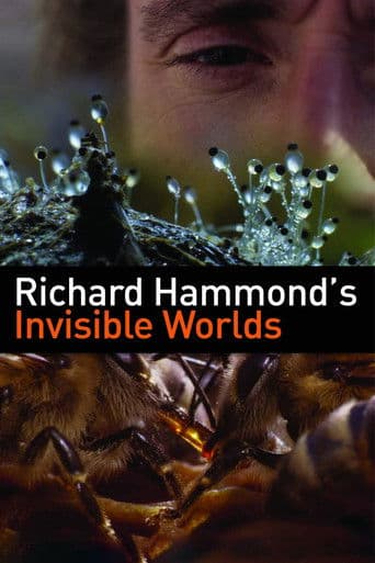 Richard Hammond's Invisible Worlds (2010) poster