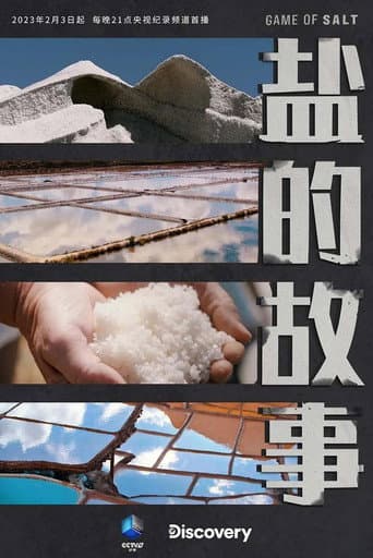 盐的故事 (2023) poster