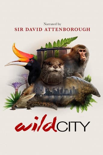 Wild City (2016) poster