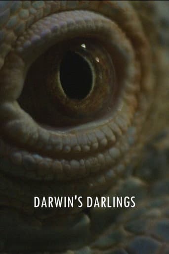 Darwin's Darlings (2025) poster