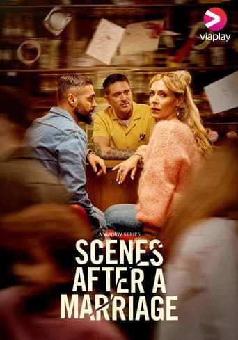 Scenes After a Marriage (2024) poster