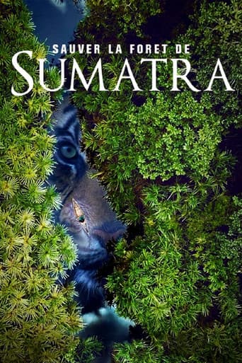 Save the Sumatran Forest (2019) poster
