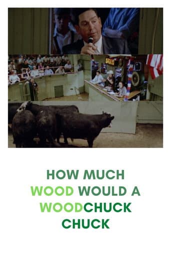 How Much Wood Would a Woodchuck Chuck (1976) poster