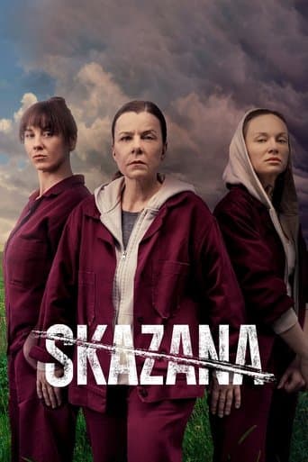 The Convict (2021) poster
