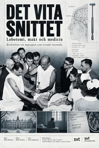 Det vita snittet (2010) poster