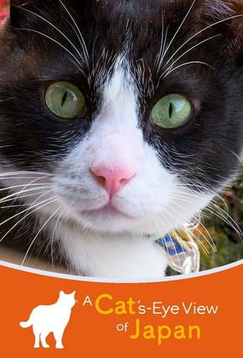 A Cat's-Eye View of Japan (2022) poster