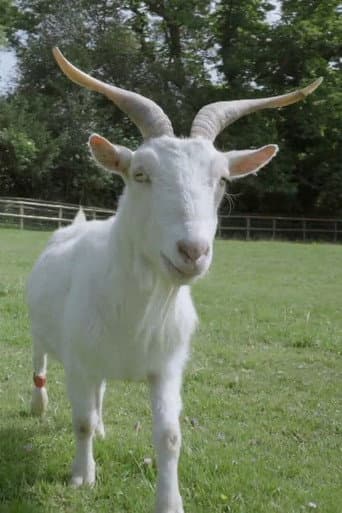 Smart as a Goat (2019) poster