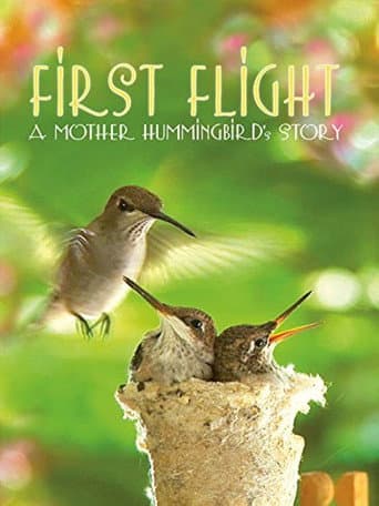 First Flight: A Mother Hummingbird's Story (2009) poster