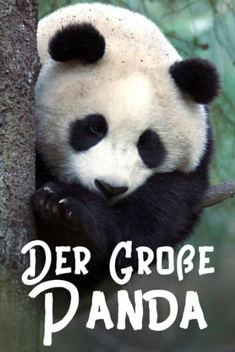 The Giant Panda (2020) poster