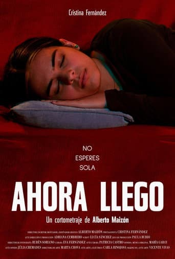 Almost there (2024) poster