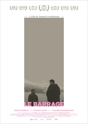 The Big Dam (2015) poster
