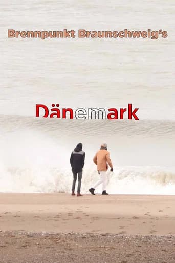 Brennpunkt Braunschweig's Dänemark poster