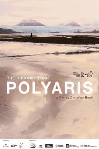 The Chronicles of Polyaris (2014) poster