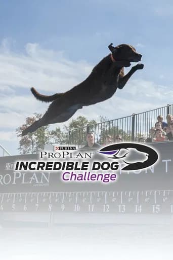 The Incredible Dog Challenge Tour (2015) poster