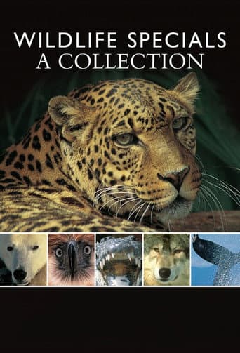Wildlife Specials (1995) poster
