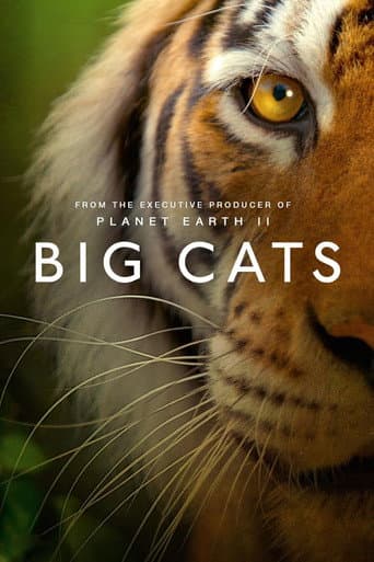 Big Cats (2019) poster