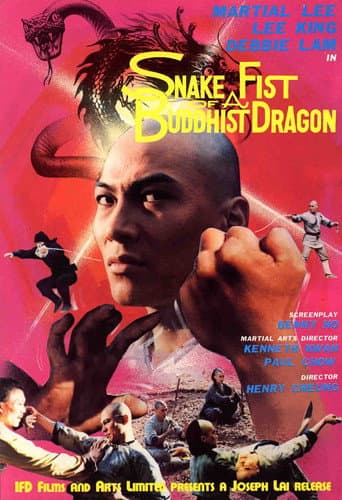Snake Fist of the Buddhist Dragon (1983) poster