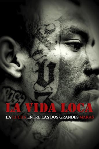 The Crazy Life (2008) poster