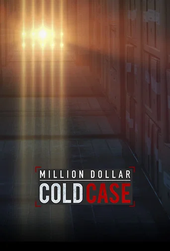 Million Dollar Cold Case (2017) poster