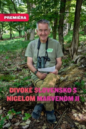 Wild Slovakia with Nigel Marven 2 (2026) poster