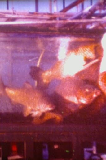 Schätze aus dem Meer - Unentbehrlicher Fisch (1979) poster