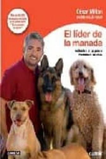 El líder de la manada (2011) poster