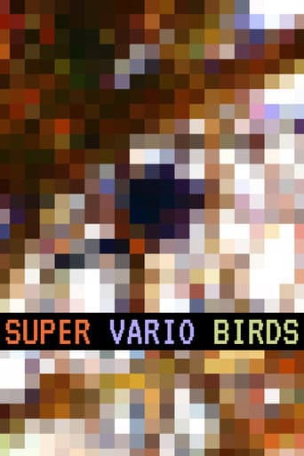 Super Vario Birds (2019) poster