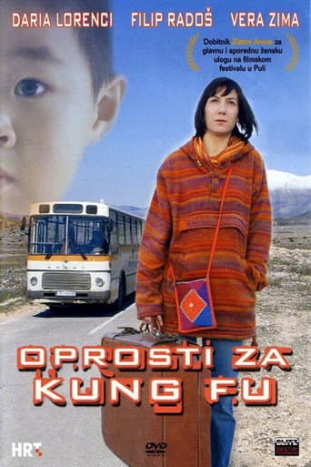 Sorry for Kung Fu (2004) poster