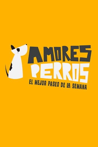 Amores perros (2016) poster