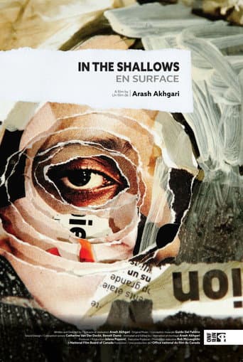 In the Shallows (2024) poster