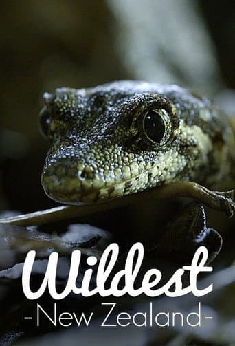 Wildest New Zealand (2017) poster