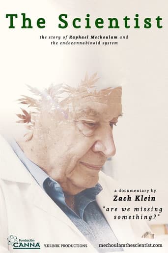 The Scientist: Are We Missing Something? (2015) poster