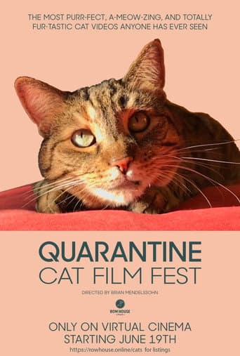 Quarantine Cat Film Festival (2020) poster