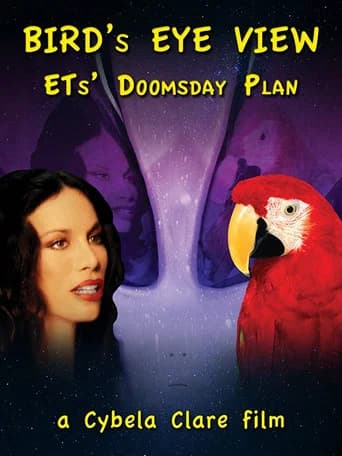 Bird's Eye View (2020) poster