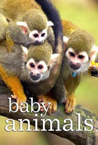 Baby Animals (2015) poster