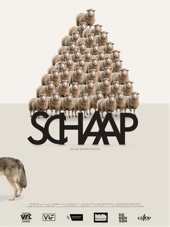 Sheep (2025) poster