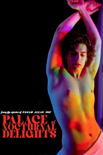 Palace of Nocturnal Delights (2024) poster