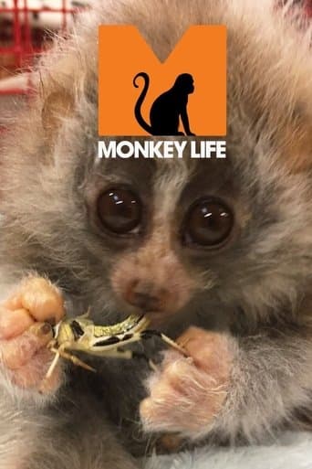 Monkey Life (2007) poster