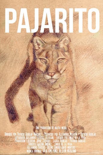 Pajarito (2022) poster