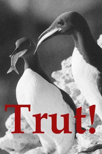 The Gulls (1944) poster