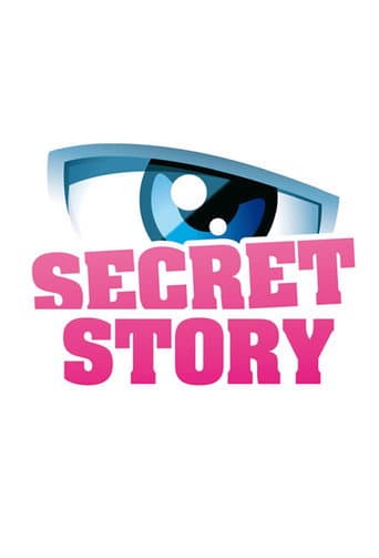 Secret Story (2011) poster