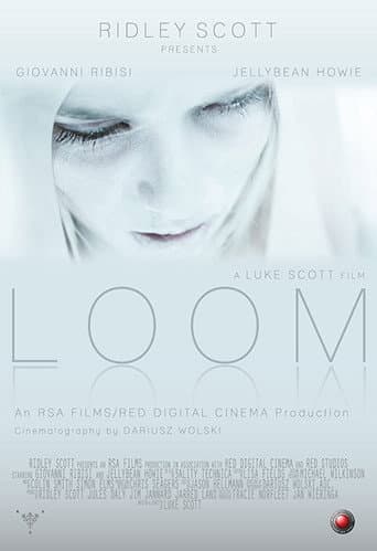 Loom (2012) poster