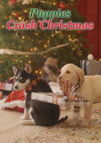 Streaming Wonderland: Puppies Crash Christmas (2017) poster