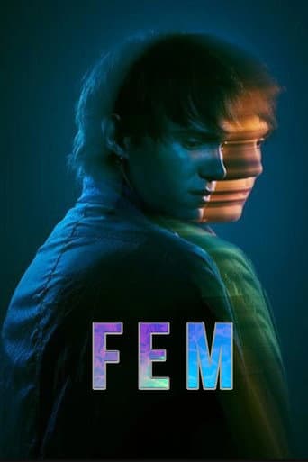 FEM (2024) poster