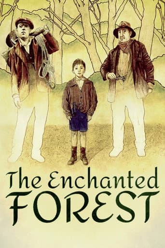 The Enchanted Forest (1987) poster